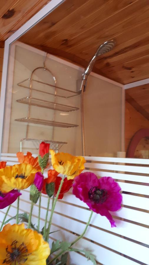Chambres Et Roulotte De La Gentilhommiere Chazey-sur-Ain Ngoại thất bức ảnh